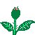 flower4a.gif